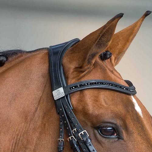 Fairfax Performance black leather double bridle with black Swarovski crystal browband, pony size. New condition