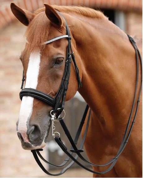 Premier Equine Leonardo Plain Leather Double Bridle Reins