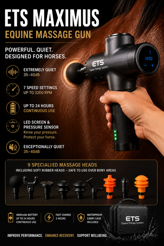 ETS Maximus horse massage gun