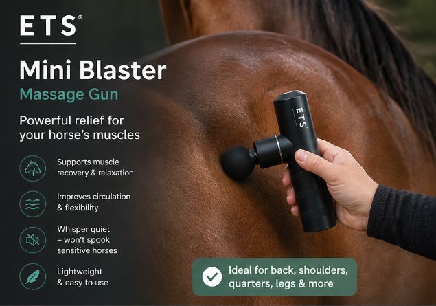 Equine Therapy Systems Mini Blaster Aluminum Massage Gun
