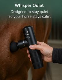 Equine Therapy Systems Mini Blaster Aluminum Massage Gun