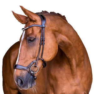 PS of Sweden Bridle