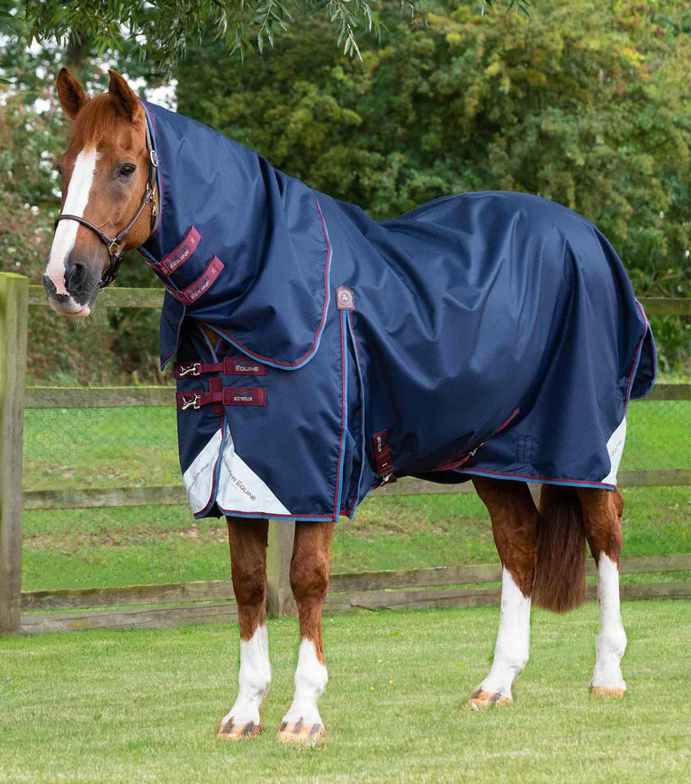 Premier Equine Akoni 0g Turnout Rug with Classic Detachable Neck Cover
