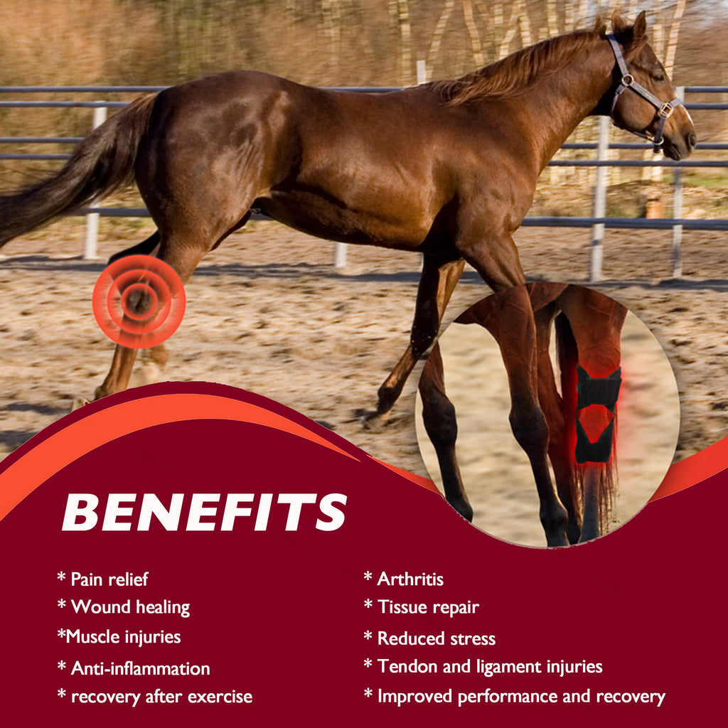Equine Therapy Systems Infrared Hock Wrap