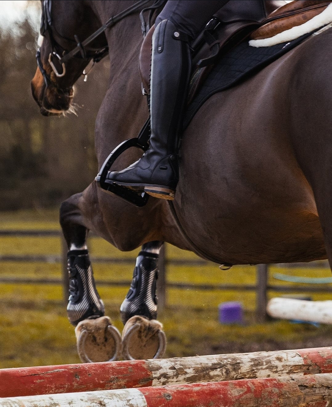 Premier Equine Carbon Pro Tendon Jump Boots