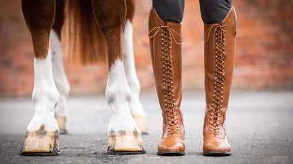 Spare laces for the Premier Equine Maurizia long laced boots