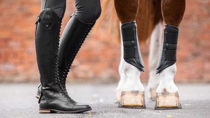 Spare laces for the Premier Equine Maurizia long laced boots