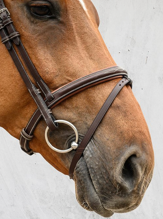 PS of Sweden Stockholm noseband, brown, size 2 (cob). Brand new