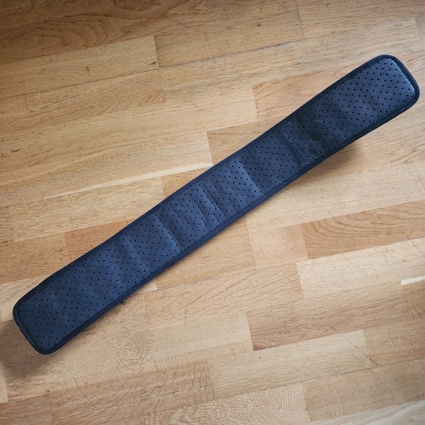 Collegiate neoprene lined girth 24"