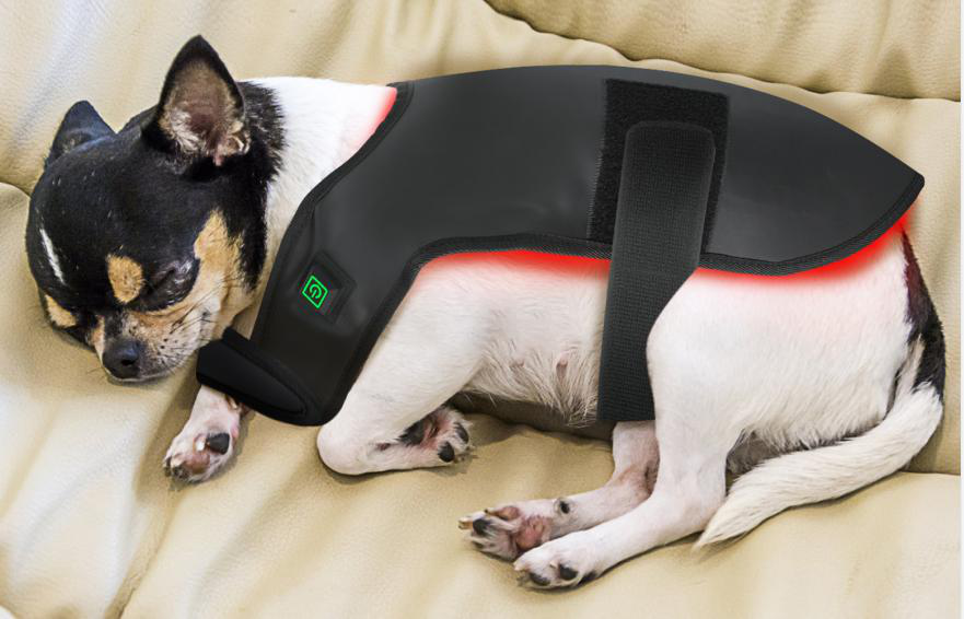 Infrared Red Light Jacket for Dogs or Cats