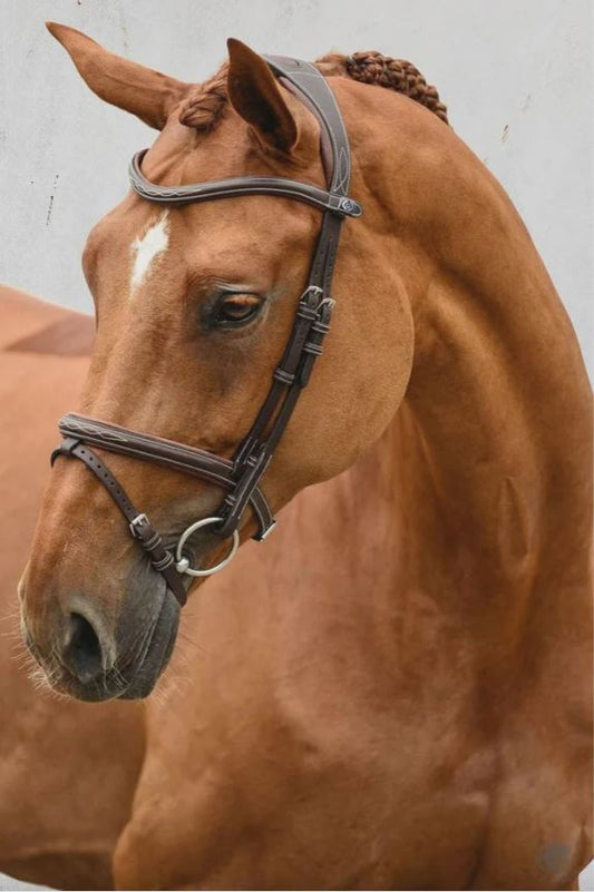 PS of Sweden Stockholm noseband AND browband, brown, size 2 (cob). Brand new