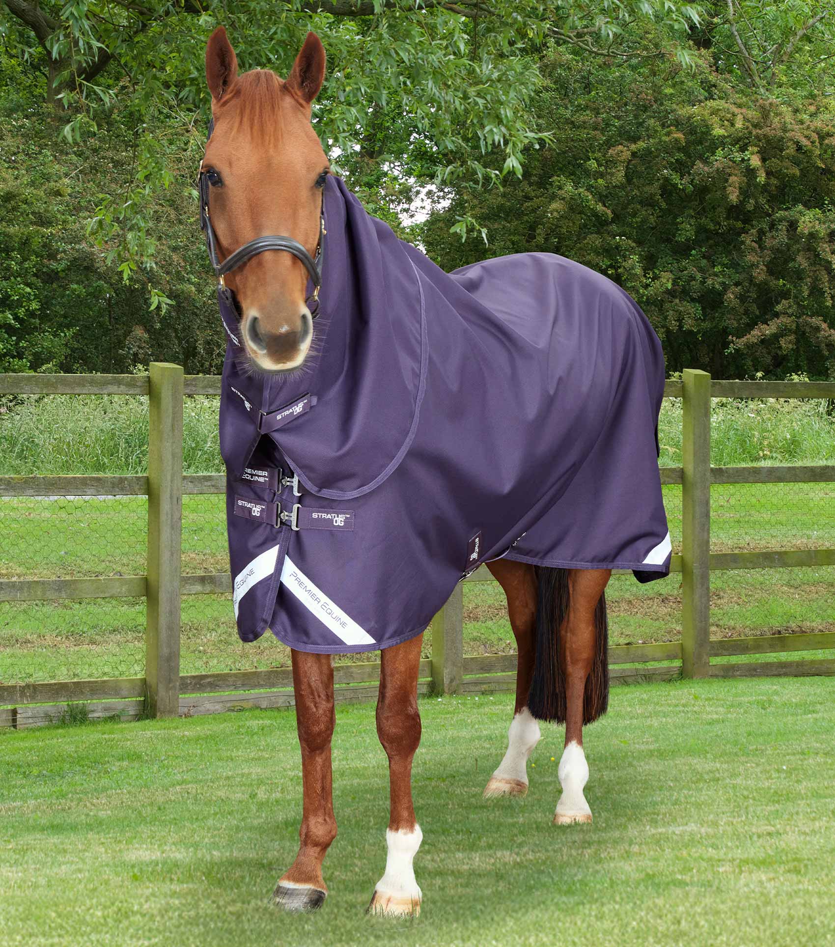 Description:Stratus 1200 Series 0g Turnout Rug with Classic Neck Cover Purple_Colour:Purple_Position:1