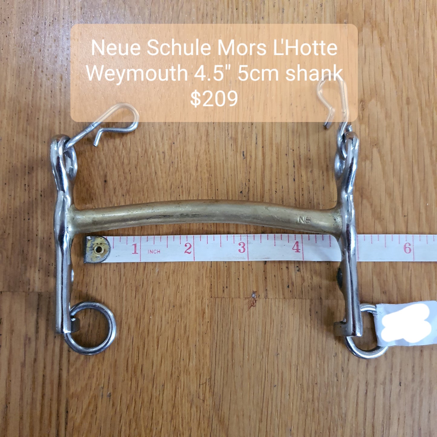 Neue Schule Mors L’Hotte Weymouth