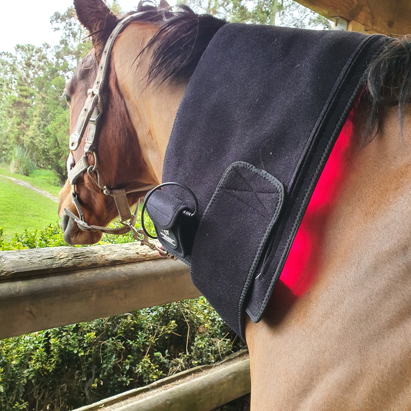 Equine Therapy Systems Infrared Leg / Back / Neck Wrap (medium)