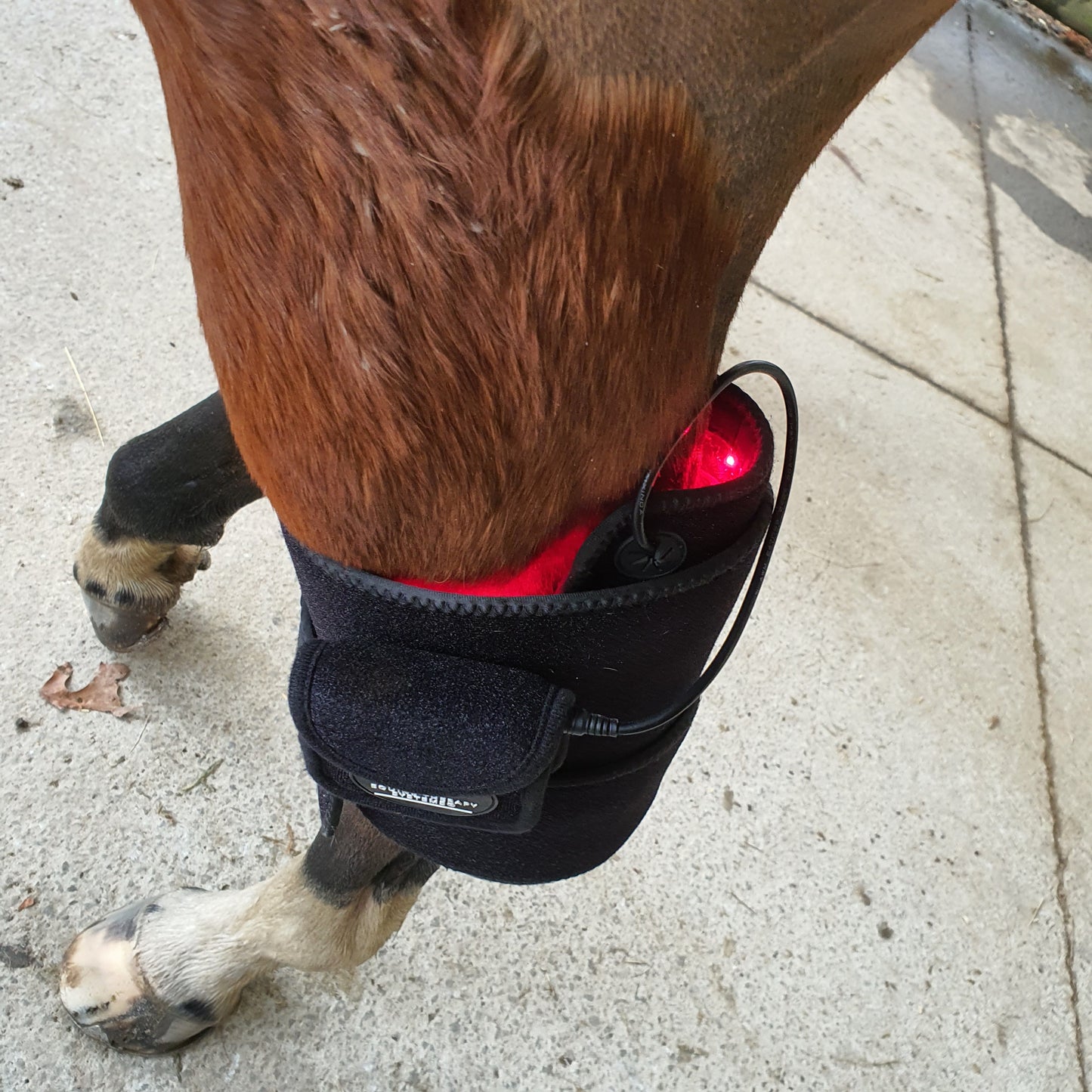 Equine Therapy Systems Infrared Leg / Back / Neck Wrap (medium)