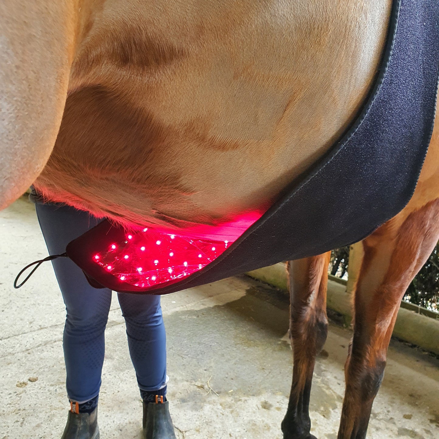 Equine Therapy Systems Infrared belly / Back / Neck Wrap (large)