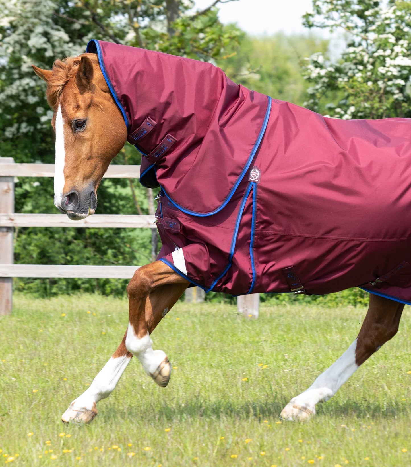 Premier Equine Buster 40g Turnout Rug with Classic Neck Cover