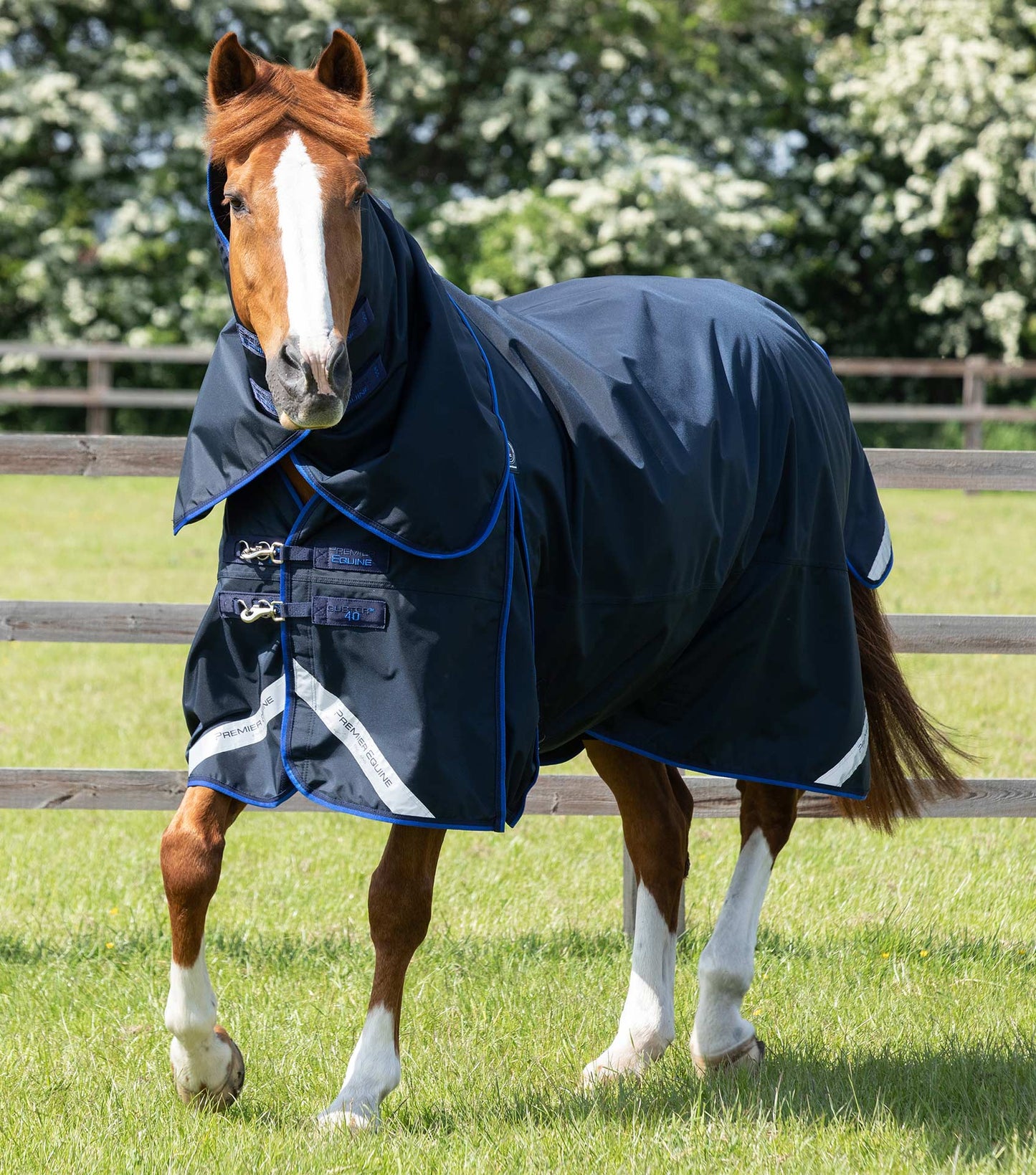 Premier Equine Buster 40g Turnout Rug with Classic Neck Cover