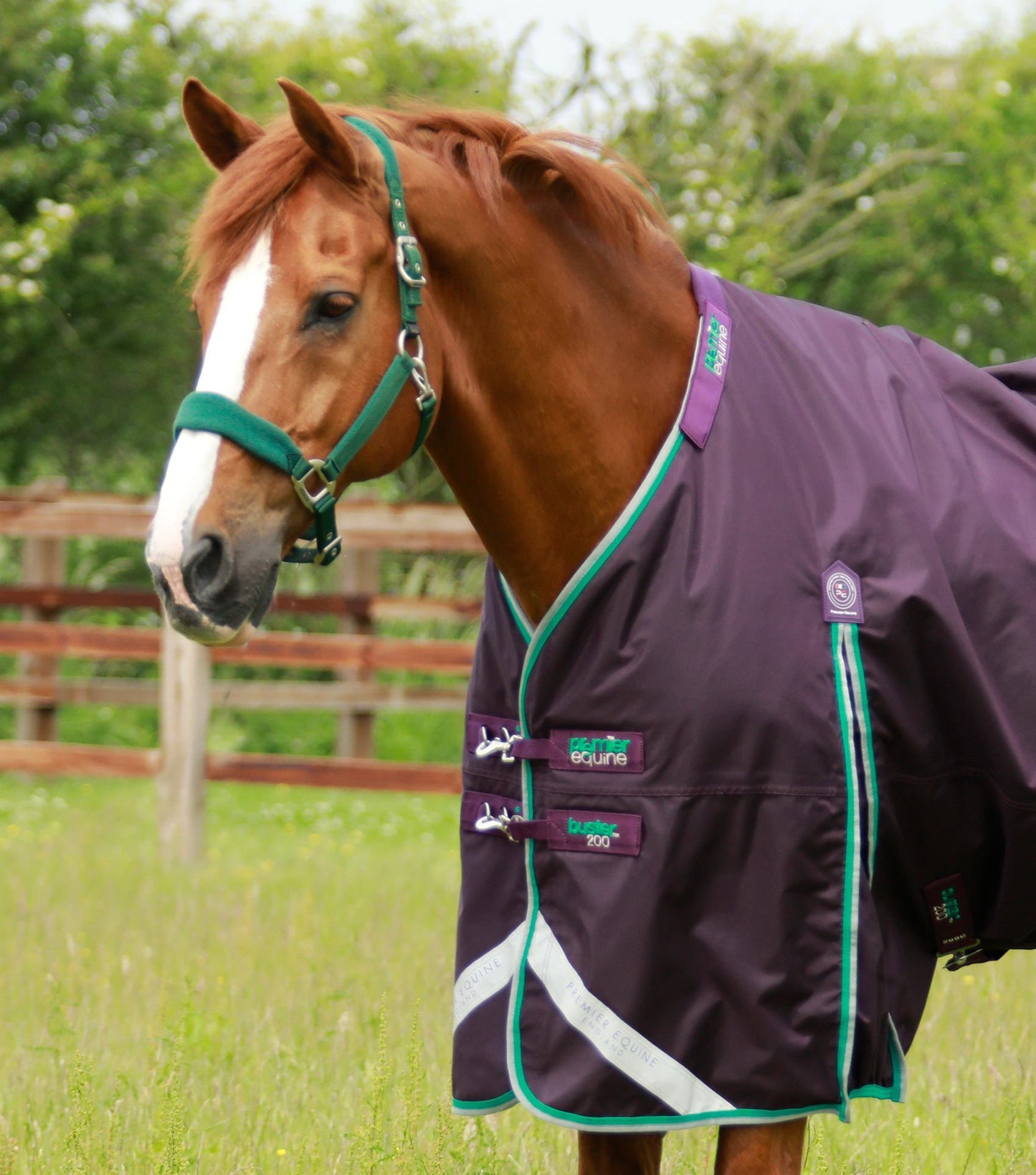 Premier Equine Buster 200g Turnout Rug with Snug Fit Neck Cover