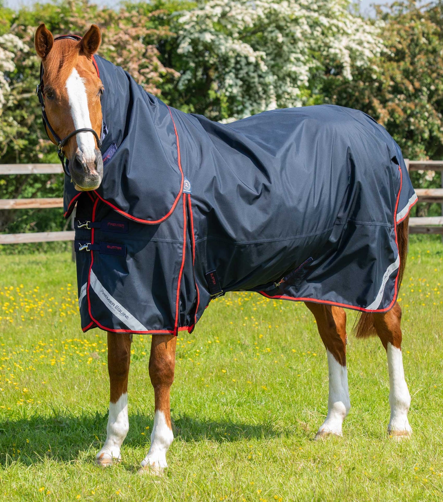 Premier Equine Buster 250g Turnout Rug with Classic Neck Cover