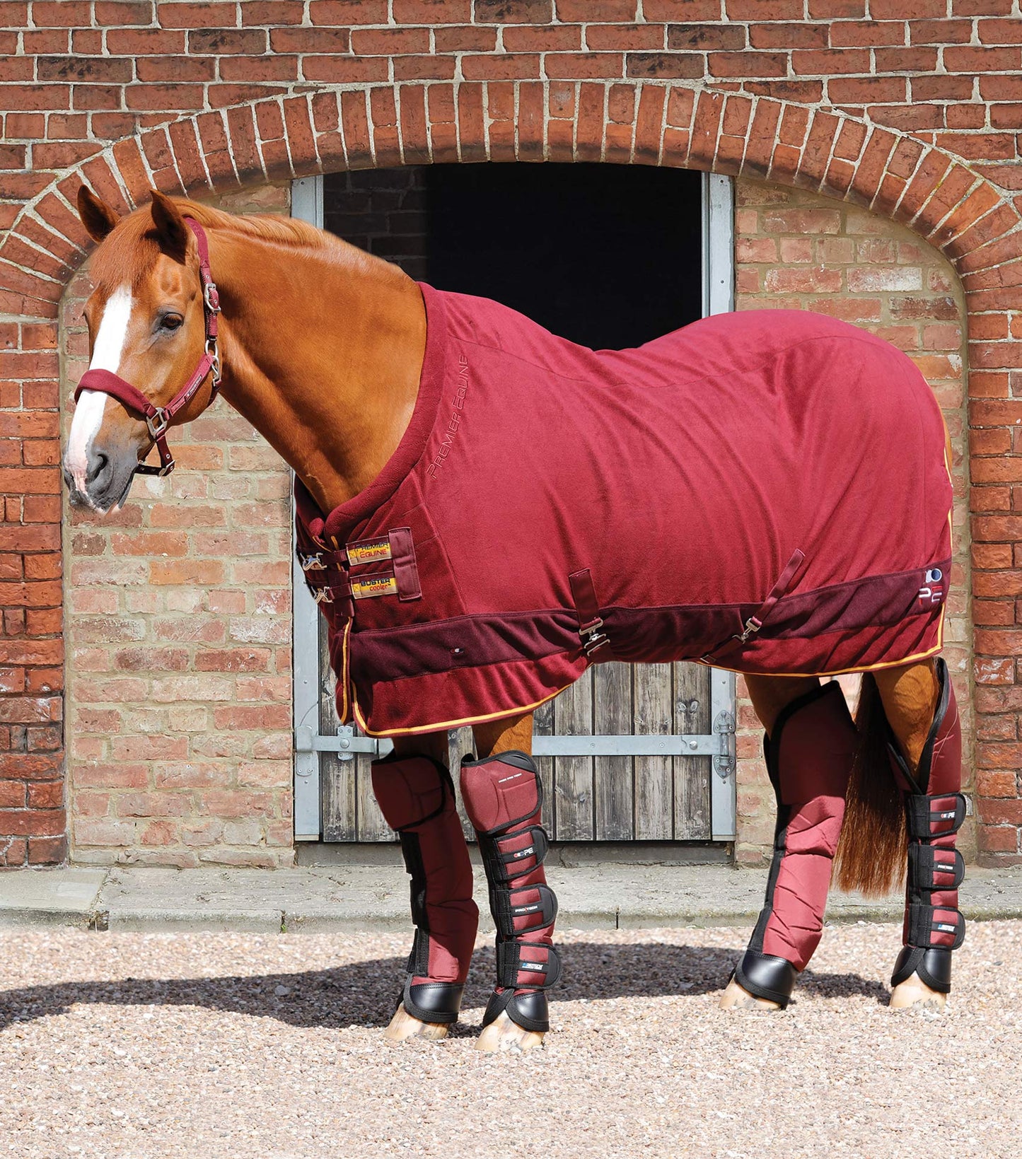 Premier Equine Buster Fleece Cooler Rug - Continental Edition