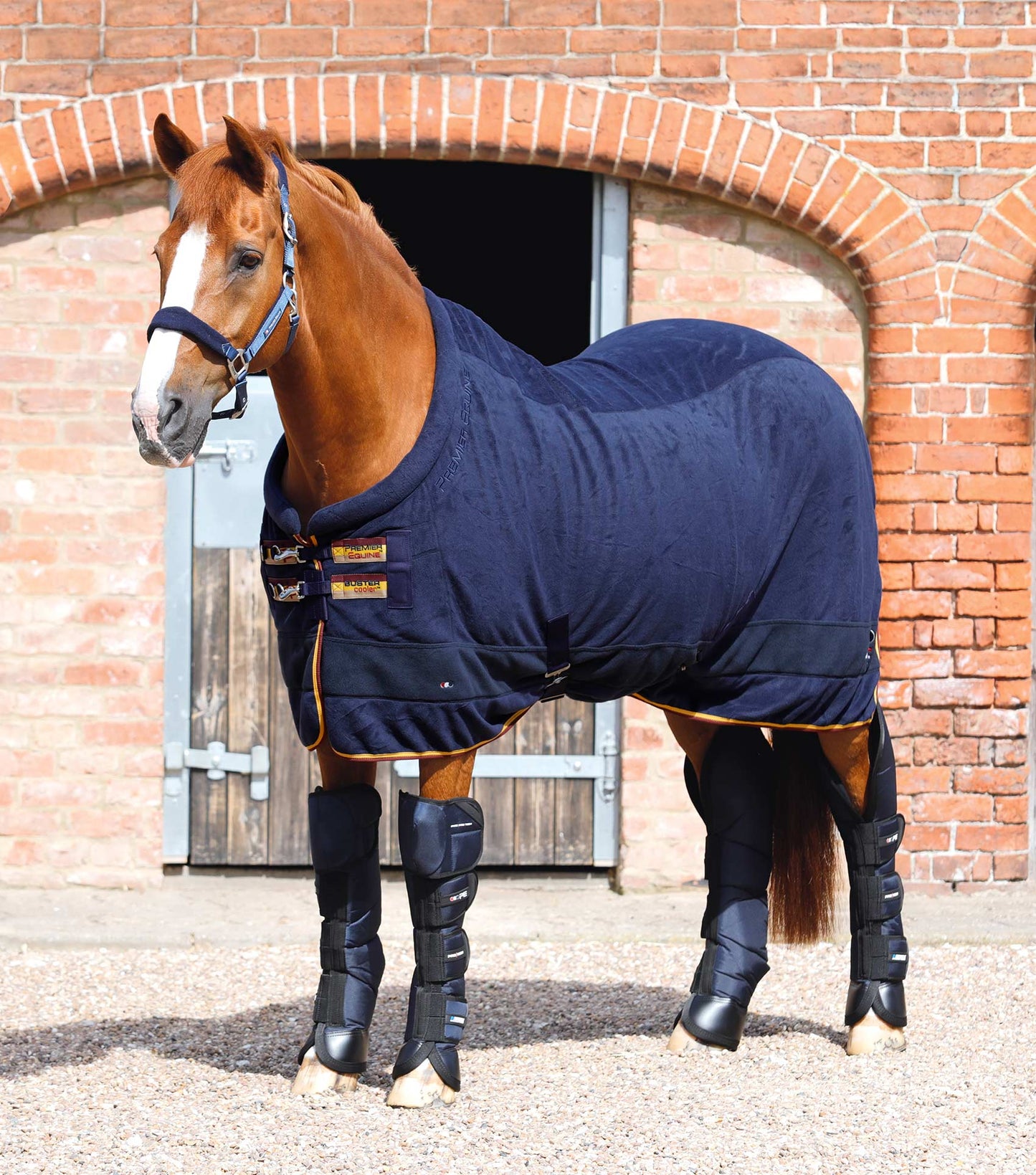 Premier Equine Buster Fleece Cooler Rug - Continental Edition