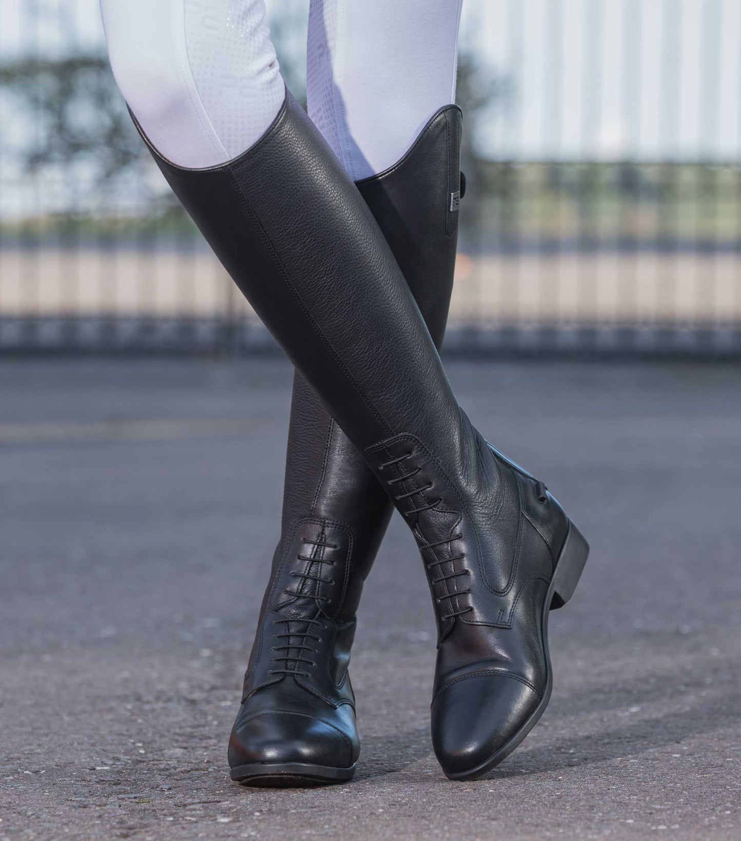 Premier Equine Calanthe Ladies Leather Field Tall Riding Boot - Robyn's ...