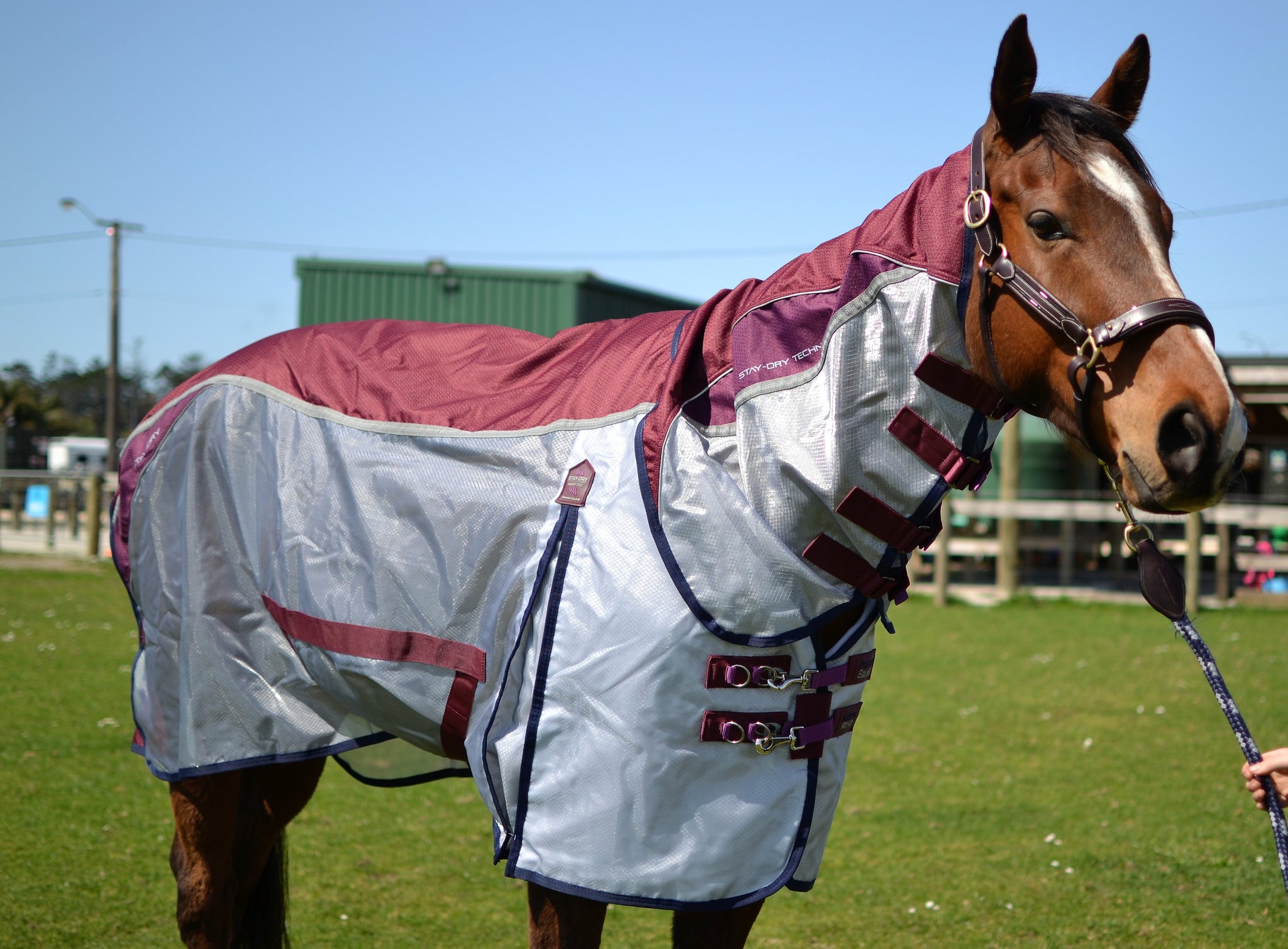 Stay-Dry Mesh Air Fly Rug with Surcingles – Horse By Horse