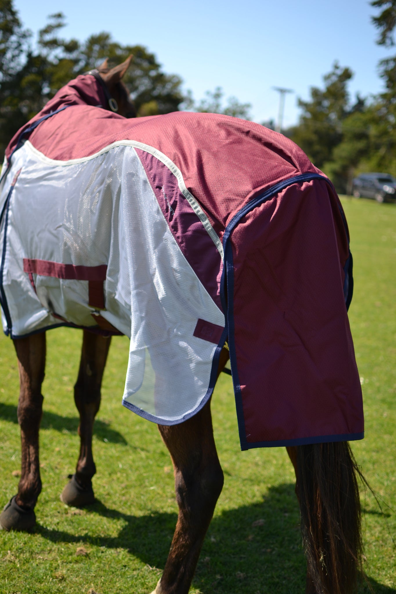 PREMIER EQUINE Buster Stay-Dry Super Lite Fly Rug with surcingles