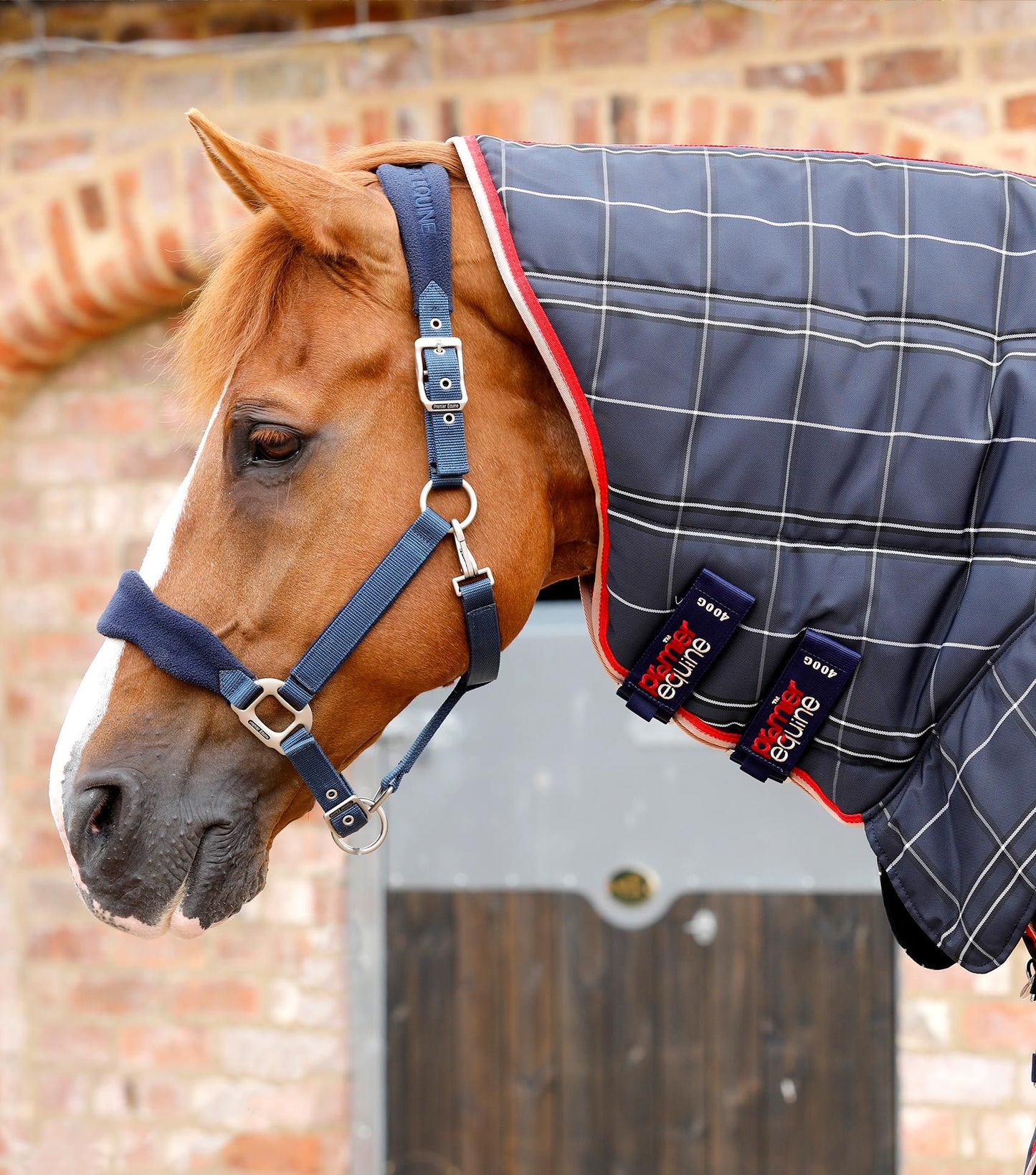 Premier Equine Domus 400g Stable Rug