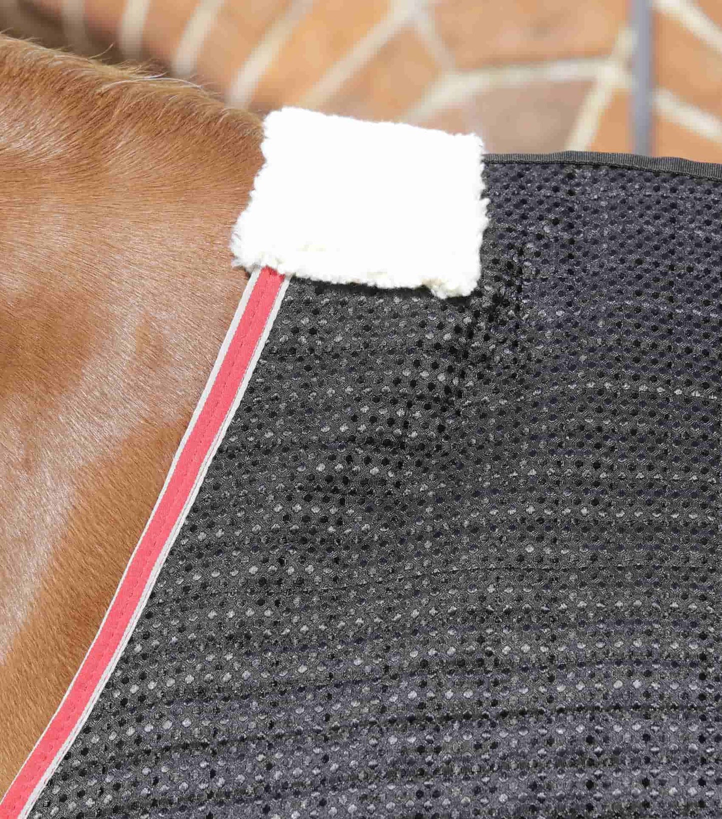 Premier Equine Dry-Tech Horse Cooler / Travel Rug