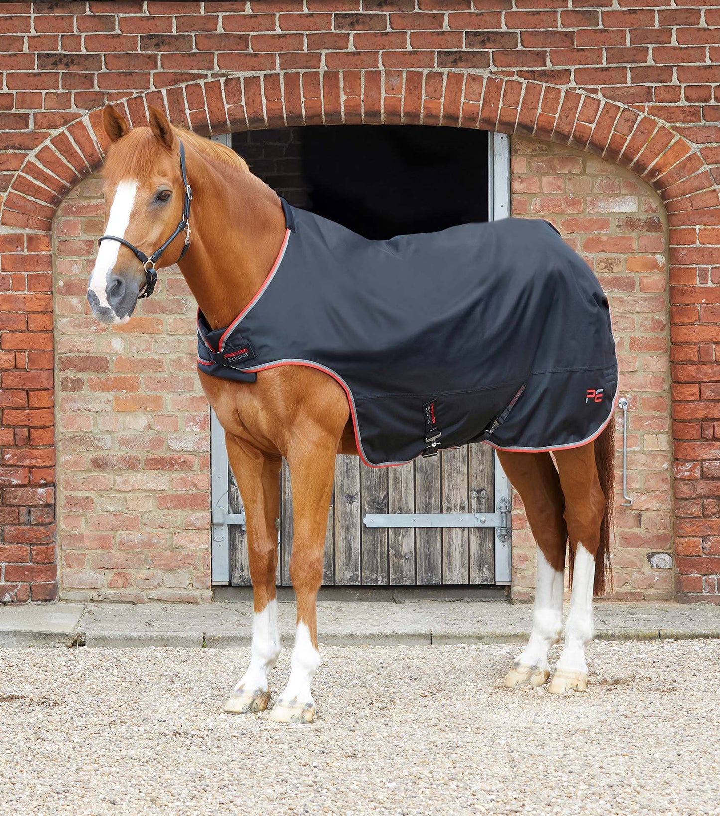 Premier Equine Horse Walker Rug 100g