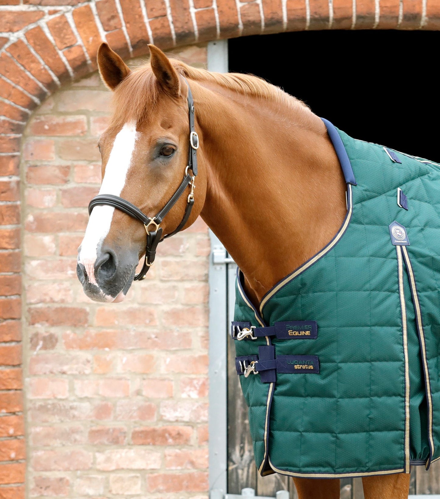 Premier Equine Lucanta 200g Stable Rug with Neck Cover