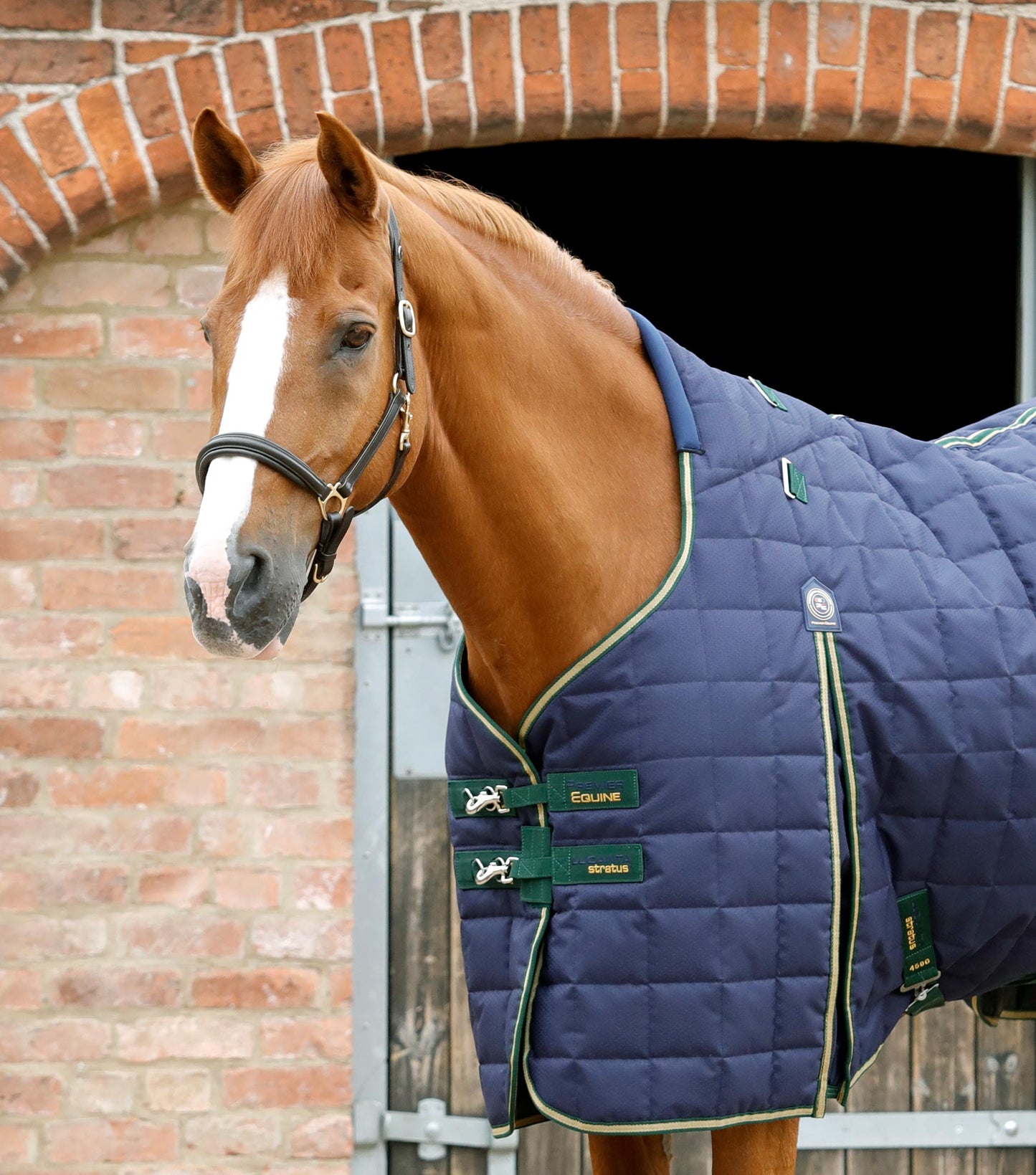 Premier Equine Lucanta 450g Stable Rug with Neck Cover