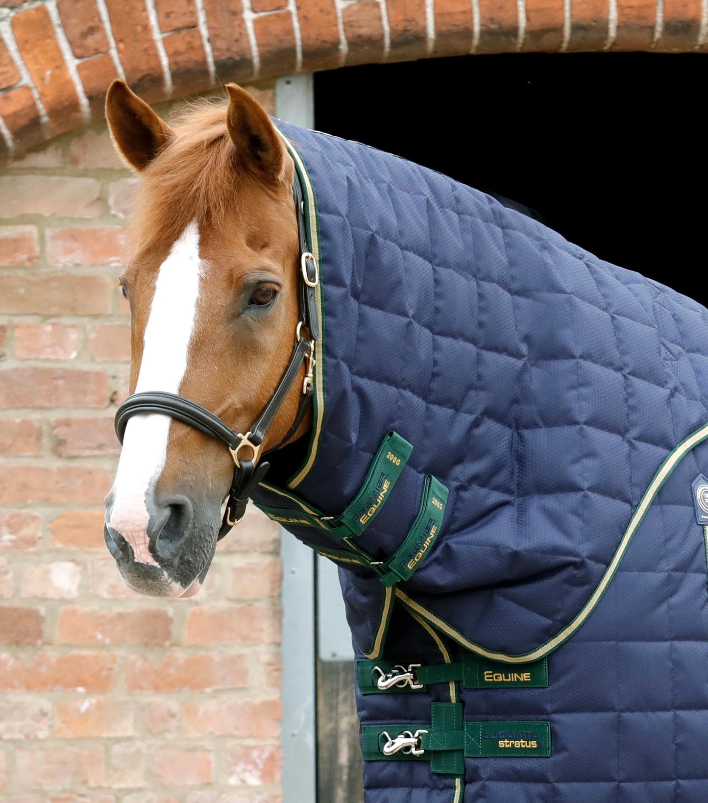 Premier Equine Lucanta 450g Stable Rug with Neck Cover