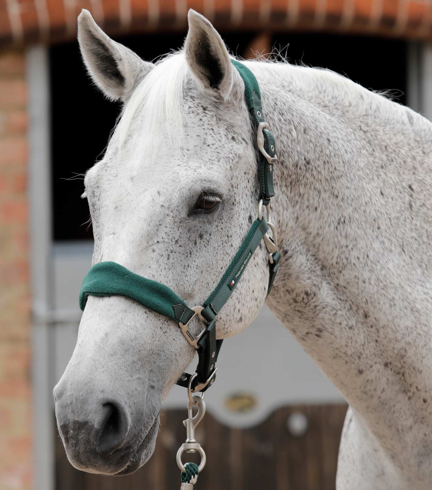 Premier Equine Fleece Padded Horse Head Collar / halter