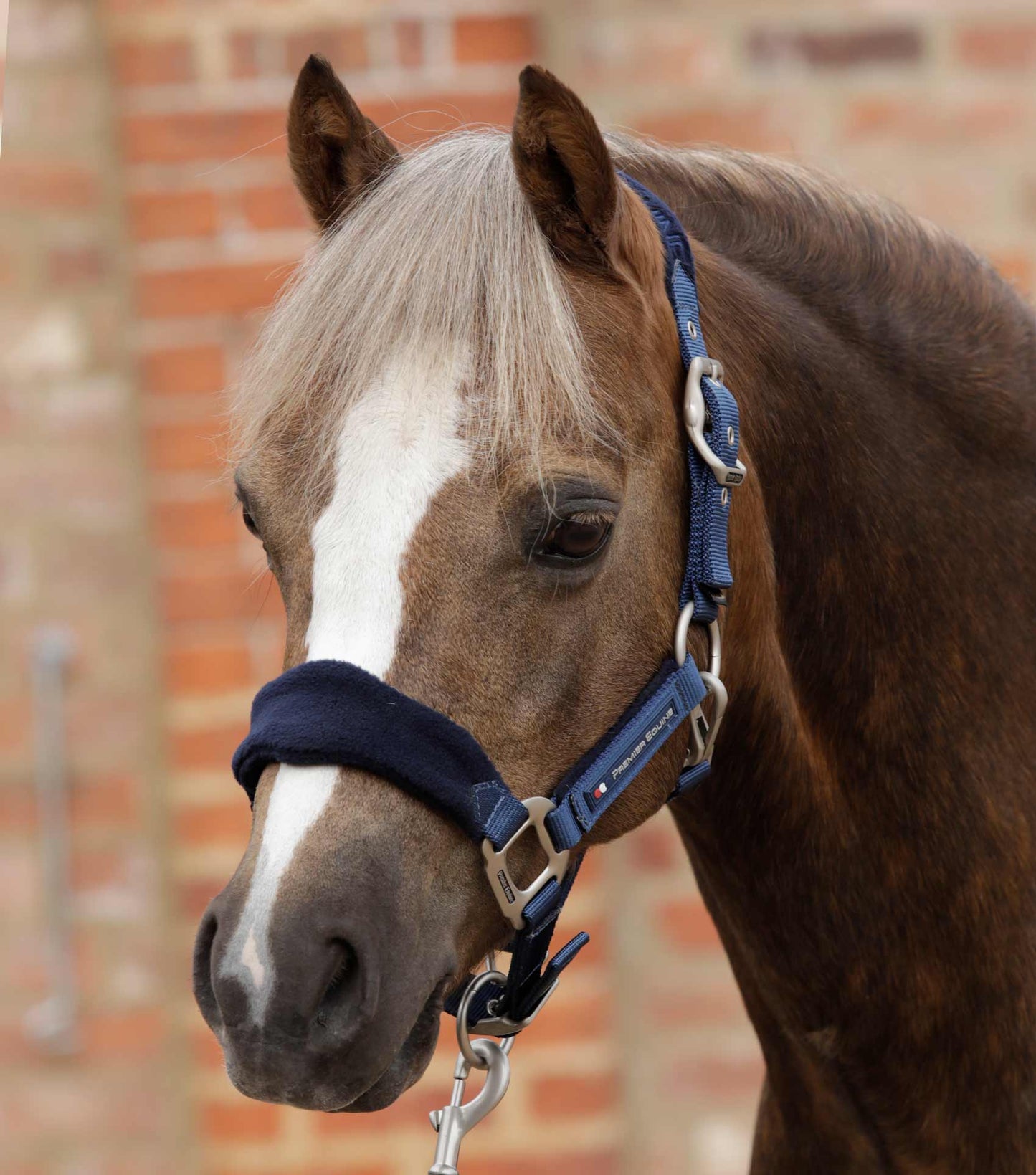 Premier Equine Fleece Padded Pony Head Collar