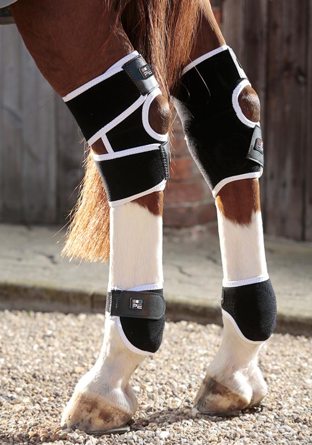 Premier Equine Magni-Teque Magnetic Hock Boots - Robyn's Tack Room 