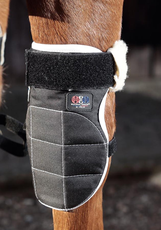 Premier Equine Magni-Teque Magnetic Horse Knee Boots - Robyn's Tack Room 
