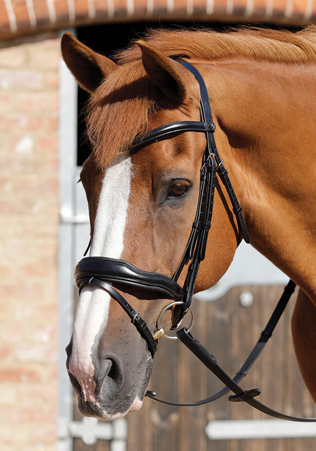 Premier Equine Rizzo Anatomic Snaffle Bridle with Flash