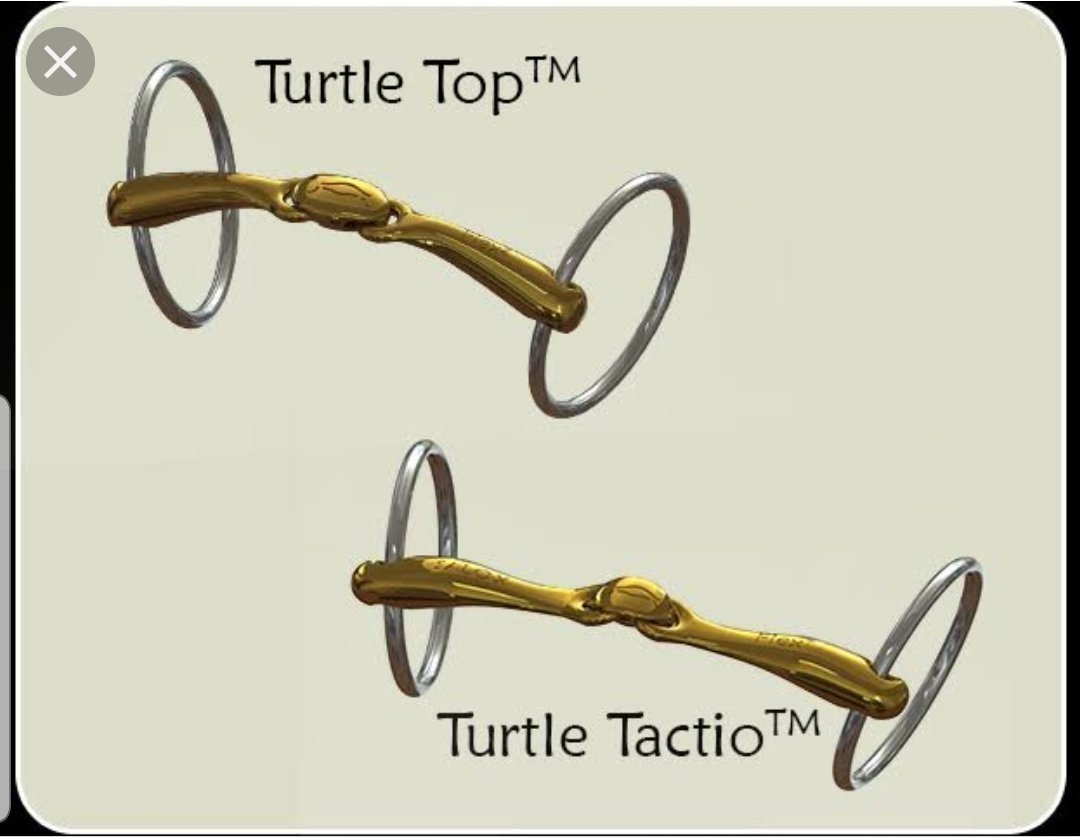 Neue Schule Turtle Tactio Loose Ring bit - Robyn's Tack Room 