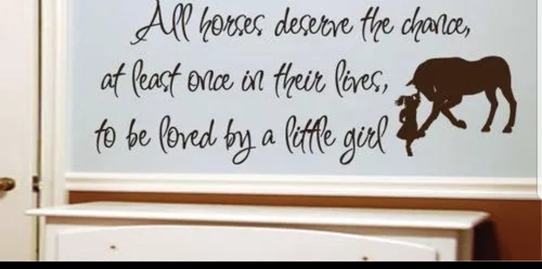 Vinyl PVC sticker wall art 'all horses deserve a chance at least once in their lives to be loved by a little girl' - Robyn's Tack Room 
