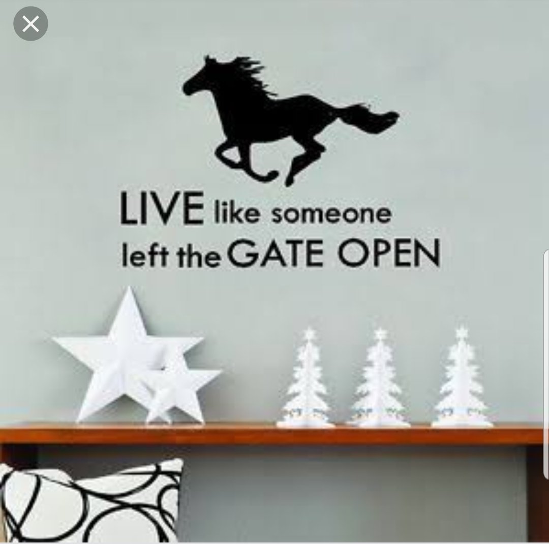 Vinyl PVC sticker wall art 'live like someone left the door open' - Robyn's Tack Room 
