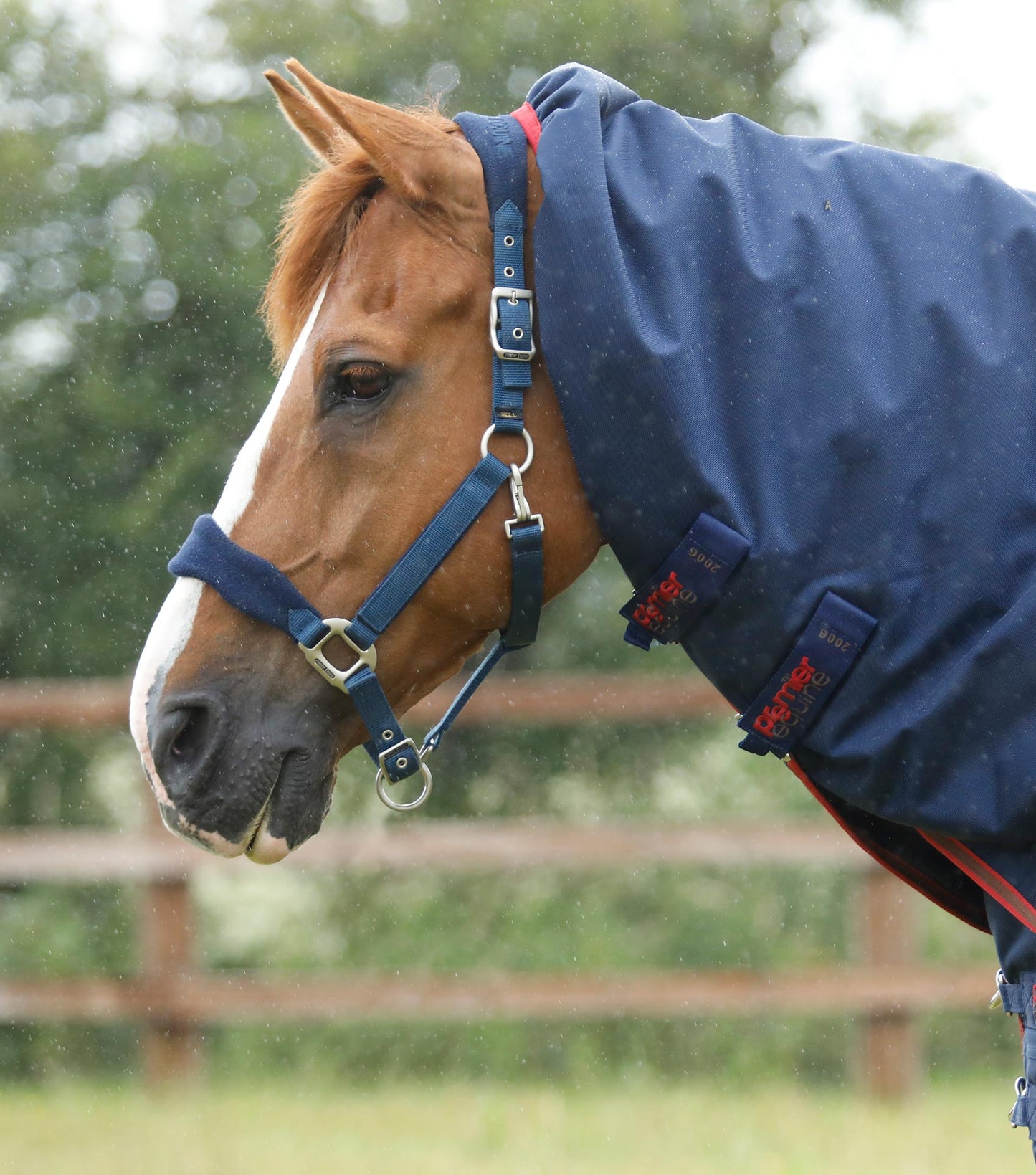 Premier Equine Titan 450g Turnout Rug with Neck Cover