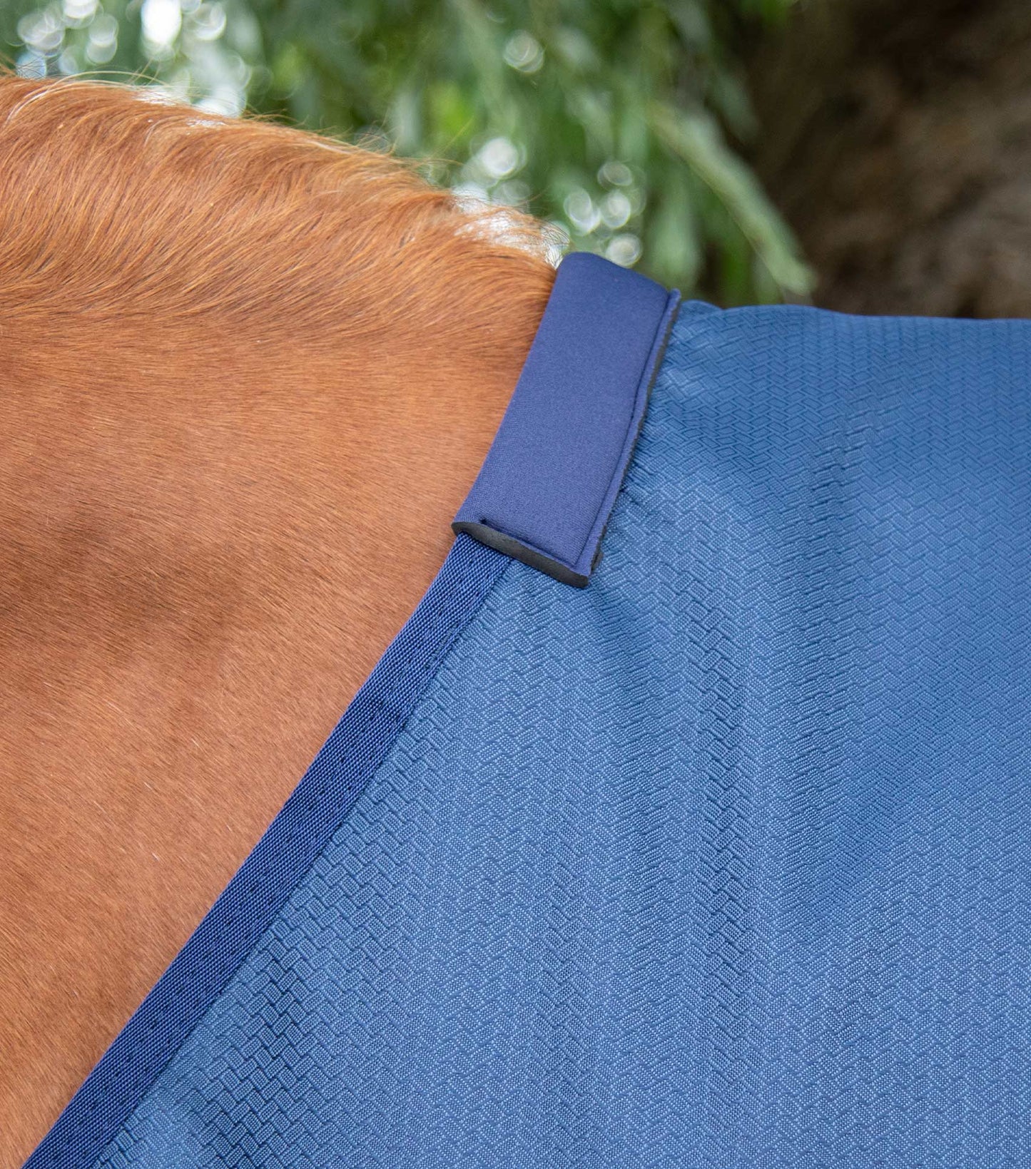 Premier Equine Akoni 0g Original Turnout Rug (NO neck rug)