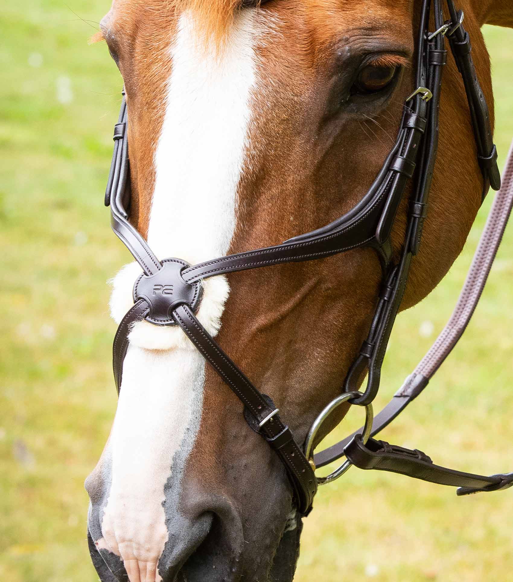 Grackle noseband on sale