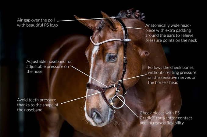 PS of Sweden brown Nirak bridle full size (size 2) Brand new! - Robyn's Tack Room 