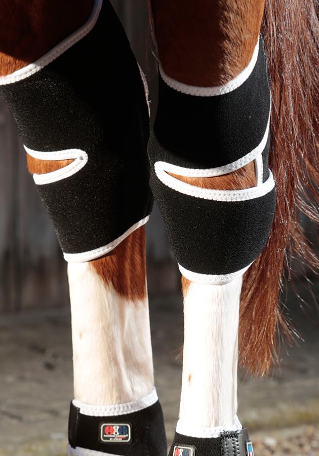 Premier Equine Magni-Teque Magnetic Hock Boots - Robyn's Tack Room 