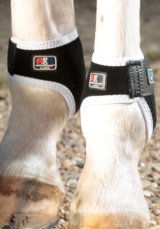 Premier Equine Magni-Teque Magnetic Fetlock Boots - Robyn's Tack Room 