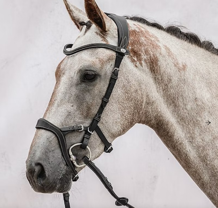 PS of Sweden black Nirak bridle X full size (size 4) Pre loved